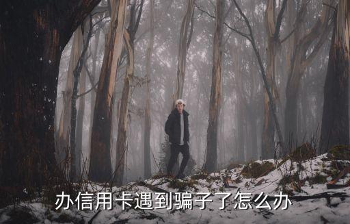 信用卡被詐騙怎么辦，我的信用卡的錢被人騙了怎辦
