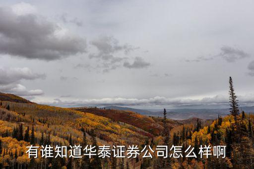 有誰(shuí)知道華泰證券公司怎么樣啊