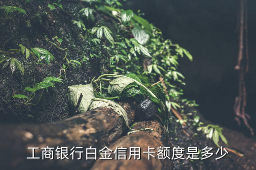 工商銀行白金信用卡額度是多少