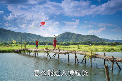 怎么能進入微粒貸