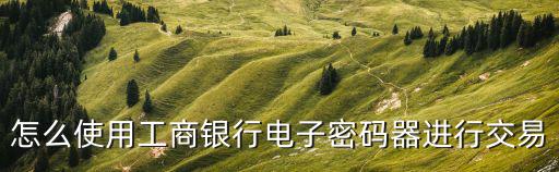 怎么使用工商銀行電子密碼器進(jìn)行交易