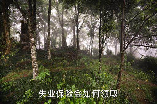 失業(yè)保險怎么領，失業(yè)保險怎么領