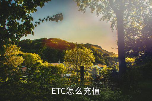 ETC怎么充值