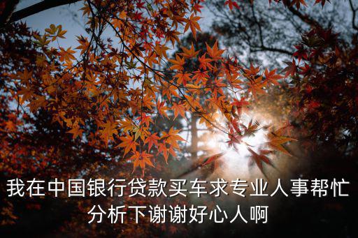 我在中國銀行貸款買車求專業(yè)人事幫忙分析下謝謝好心人啊