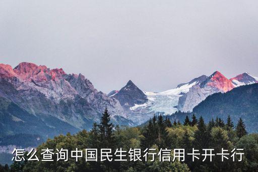 怎么查詢中國民生銀行信用卡開卡行