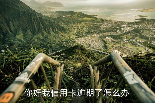 信用卡逾期怎么辦，信用卡逾期了怎么辦啊