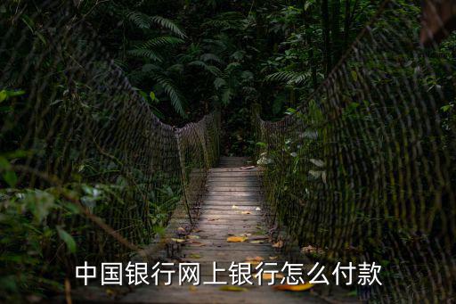 中國銀行網(wǎng)上銀行怎么付款