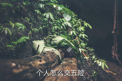 個人怎么交五險