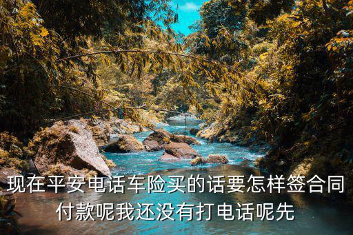 現(xiàn)在平安電話車險買的話要怎樣簽合同付款呢我還沒有打電話呢先