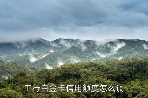 工行的白金卡怎么提額度是多少，工商銀行的白金卡如何提升額度