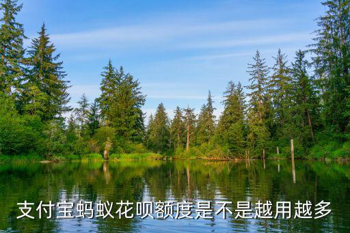螞蟻花唄怎么越來越多，花唄額度為什么又漲了幾百元本來4100的現(xiàn)在4400元又要多還
