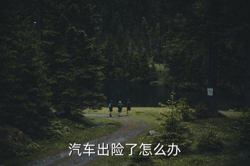 汽車出險了怎么辦