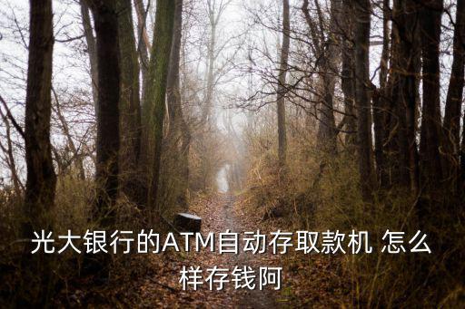 光大銀行的ATM自動存取款機 怎么樣存錢阿