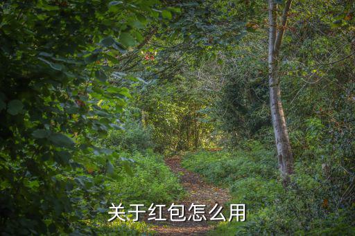 熊貓金庫的紅包怎么用，關于紅包怎么用