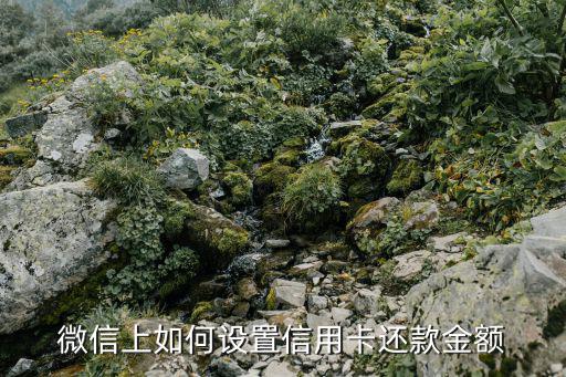 微信上如何設(shè)置信用卡還款金額