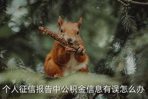 個人征信報告中公積金信息有誤怎么辦