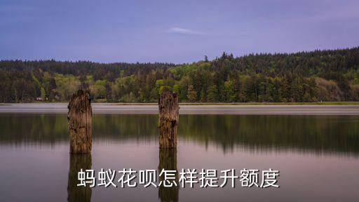 螞蟻花唄怎樣提升額度