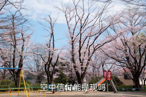空中信付能提現(xiàn)嗎