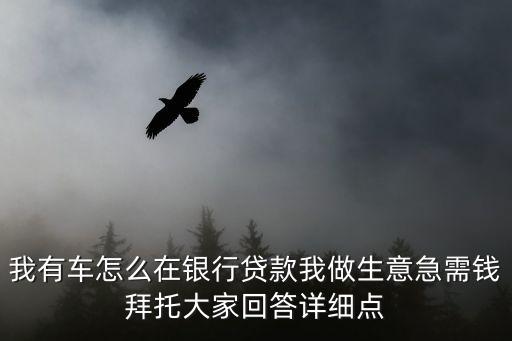 我有車怎么在銀行貸款我做生意急需錢拜托大家回答詳細點