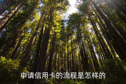 圓信卡怎么申請，如何辦理高淳農(nóng)商銀行圓鼎貸記卡