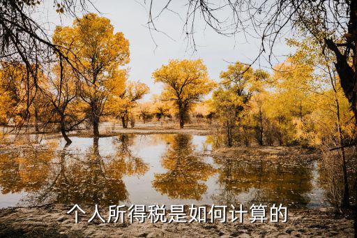 個人所得稅怎么計算，常見的個人所得稅如何計算