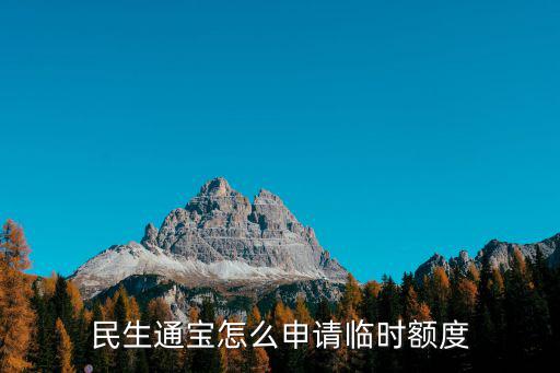 民生怎么出臨時，民生通寶怎么申請臨時額度