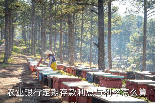 農業(yè)銀行定期存款利息與利率怎么算