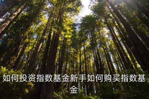 指數(shù)基金怎么投，如何投資指數(shù)基金新手如何購買指數(shù)基金
