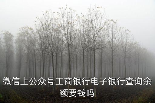 微信上公眾號(hào)工商銀行電子銀行查詢余額要錢嗎