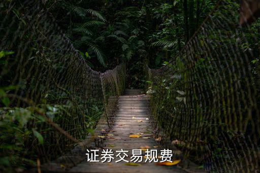 證券交易規(guī)費