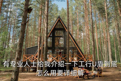 工商銀行u盾怎么用，工商銀行優(yōu)盾在電腦上怎么使用