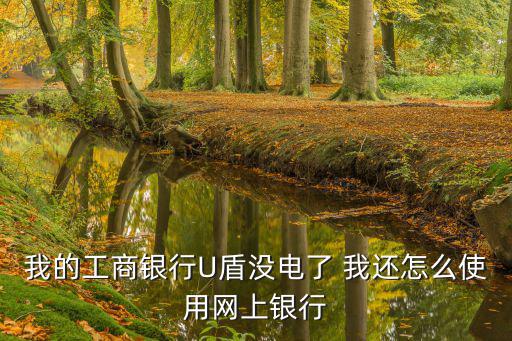 我的工商銀行U盾沒電了 我還怎么使用網(wǎng)上銀行