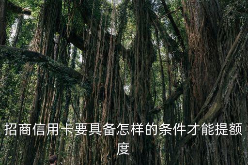 招商信用卡要具備怎樣的條件才能提額度