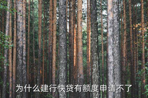 為什么建行快貸有額度申請不了