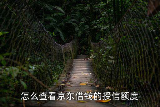 怎么查看京東借錢的授信額度