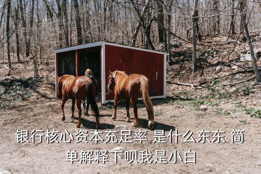 銀行核心資本充足率 是什么東東 簡單解釋下唄我是小白