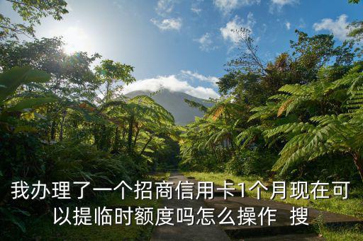 我辦理了一個(gè)招商信用卡1個(gè)月現(xiàn)在可以提臨時(shí)額度嗎怎么操作  搜