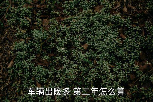 車輛出險(xiǎn)多 第二年怎么算