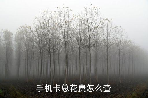 手機卡總花費怎么查