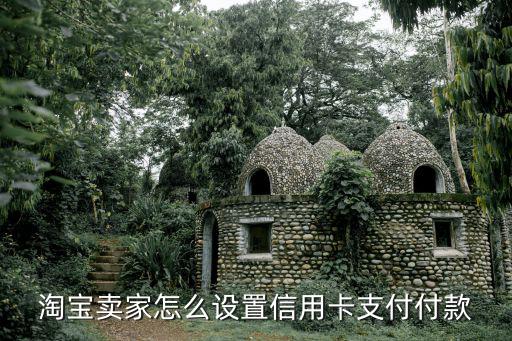淘寶賣家怎么開通信用卡付款，淘寶網(wǎng)店怎樣開通信用卡支付