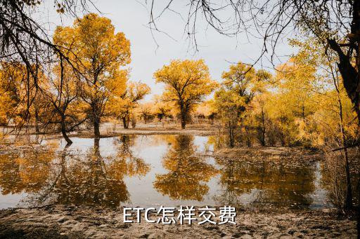 ETC怎樣交費(fèi)