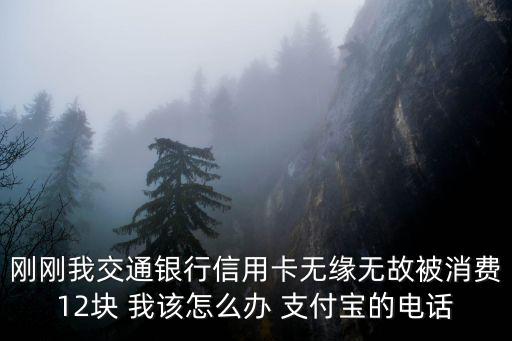 剛剛我交通銀行信用卡無(wú)緣無(wú)故被消費(fèi)12塊 我該怎么辦 支付寶的電話