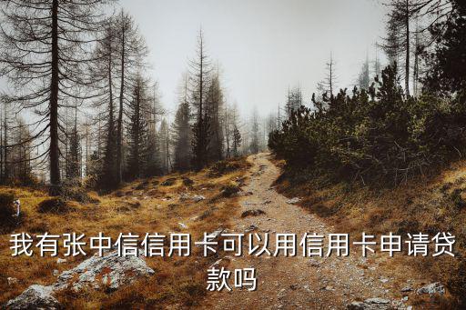 中信銀行貸款怎么貸，我想辦行用卡改怎么辦呢還有就是我想向中信銀行貸款怎么貸呢