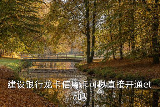建設(shè)銀行龍卡信用卡可以直接開通etc嗎