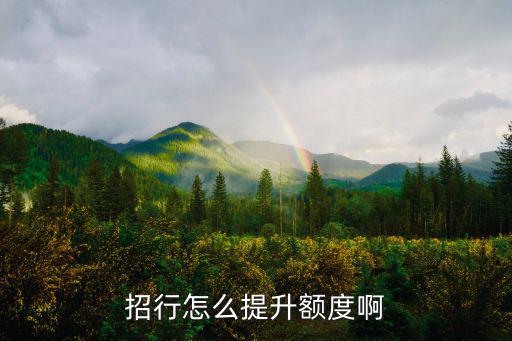 招行怎么提升額度啊