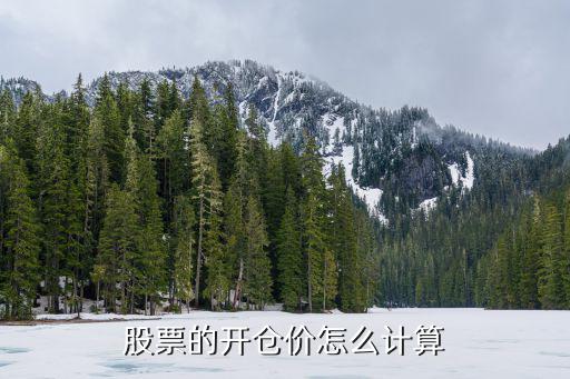 股票持倉均價(jià)怎么算，白銀TD交易中當(dāng)日的賣持倉均價(jià)是如何得來的