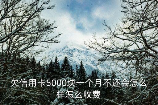 信用卡一個(gè)月不還款會(huì)怎么樣，信用卡還款延遲了一個(gè)月有啥影響嗎