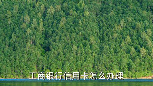 怎么辦理工行信用卡，怎么申請(qǐng)工商銀行信用卡