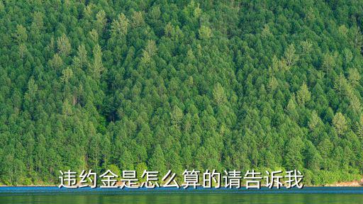 違約金是怎么算的請告訴我
