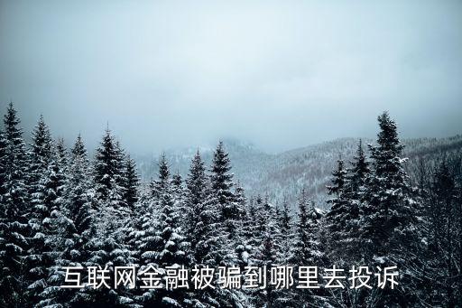 互聯(lián)網(wǎng)金融被騙到哪里去投訴